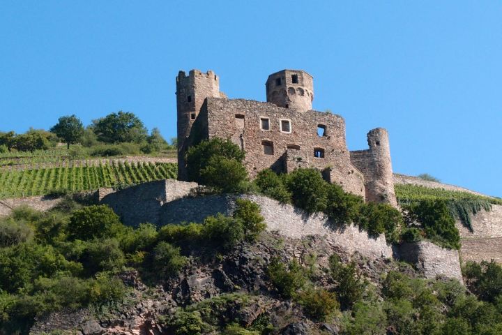 Rheingauer E-Bike Tour West, Ruinen, Nonnen und Flüsse