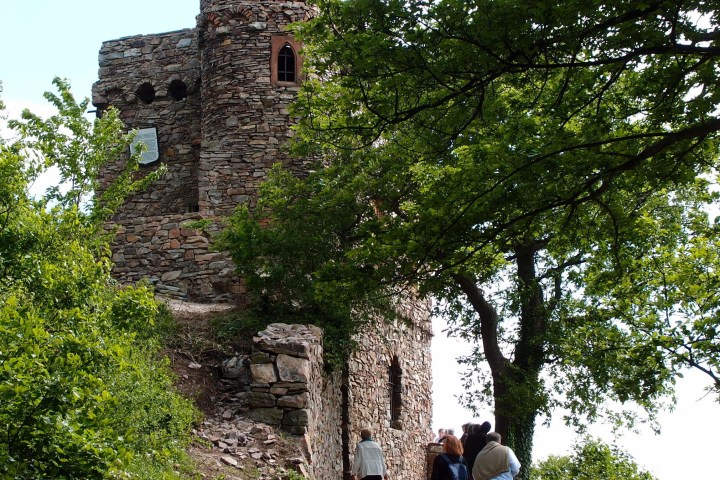 Erleben Sie eine Wanderung in die frühe Epoche der Romantik hautnah - als einzigartige Naturkulisse mit künstlich angelegten Sichtachsen, atemberaubenden Ausblicken in das Rheintal, romantischer Naturgestaltung, geschickt gebauten poetischen Aussichten und als den Ursprungsort literarischer Romantik. Die Originalführung zum Osteinschen Park!